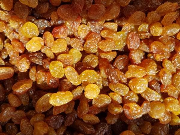 تصویر 4 از قیمت خرید کشمش تیزآبی آفتابی پلویی عمده به صرفه و ارزان